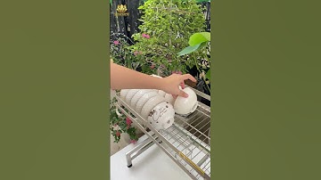 Kệ úp chén bát inox 304 Senhome loại 1 tầng, kệ chén inox để bồn rửa  #senhome #kecheninox #kebat