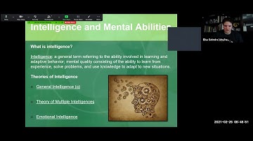 PSY M01 Chapter 8 Lecture on Cognition | Psyched with Setmire
