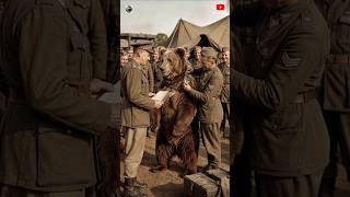 first bear 🐻 Soldier 🪖#history #facts #bear #worldwar2 #polish #army #warriors #information #ai