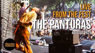 The Panturas Live at The Sounds Project Vol.8 (2025)