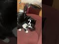 4855 目をつぶって🐱チャー