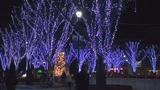 つくば光の森　イルミネーションでライトアップ