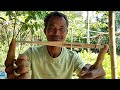 Assamese jews harpgogona luthier kk gogoi