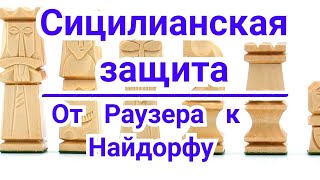 10 ) Сицилианская защита. От Раузера к Найдорфу. Иванчук-Ананд. Шахматы