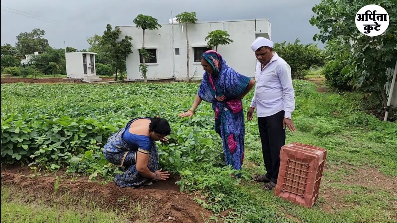 बाईनं चांगल्या घराचा खेळ केला 😅#कॉमेडी