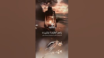 أكتب شئ تؤجر عليه🕊|قرآن كريم استمتع📿✨