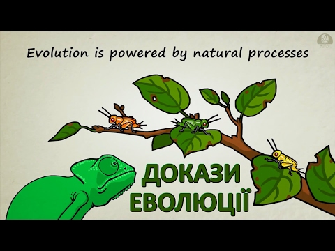 Видео: Докази еволюції [Stated Clearly]