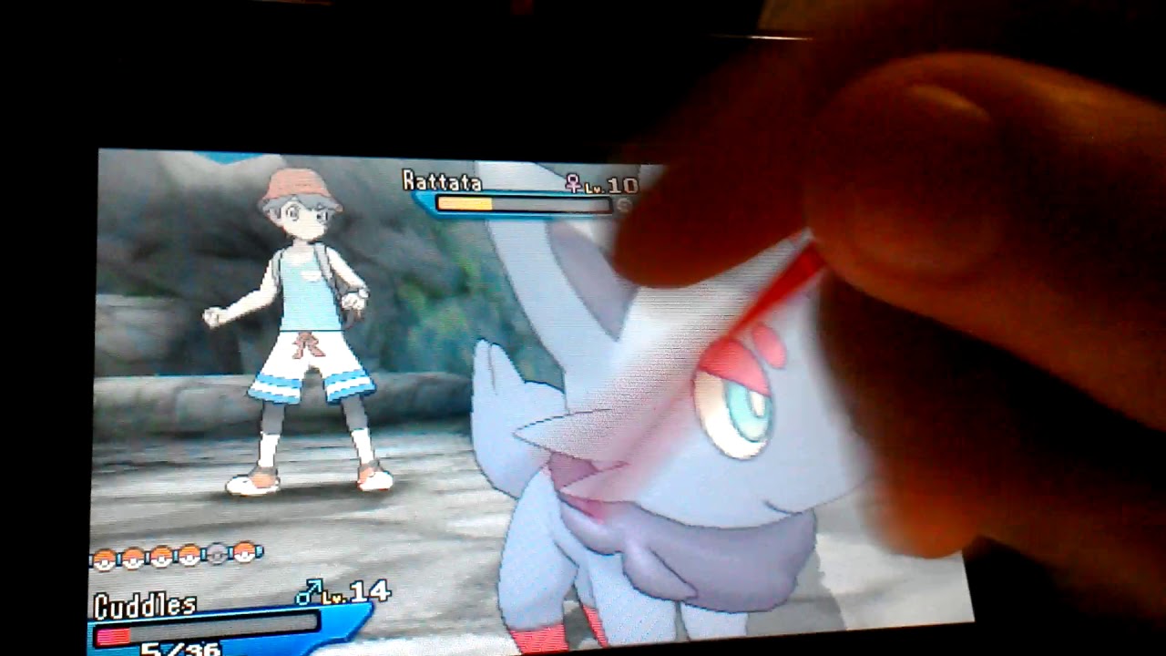 Totem Raticate Totem raticate battle - YouTube