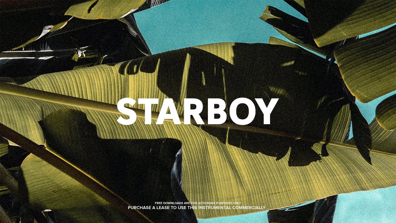 Dancehall x Afrobeat Type Beat Instrumental 2022 - "Starboy" | Dannyebtracks