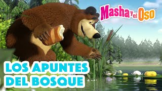 Masha y el Oso Castellano  Los apuntes del bosque  Colección de dibujos animados