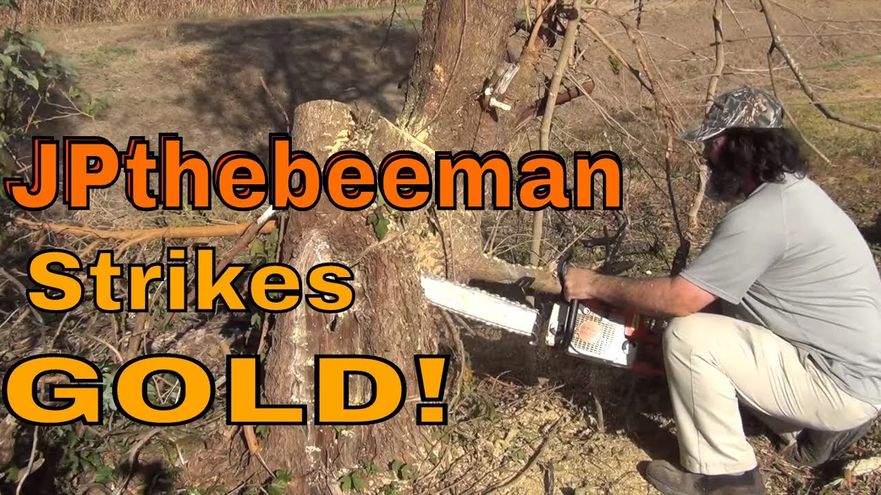 Из земли поднялись пчелы-жужжалки