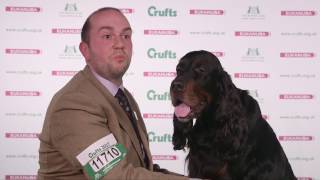 Crufts 2017 | Best of Breed winner David Alcorn and gordon setter James