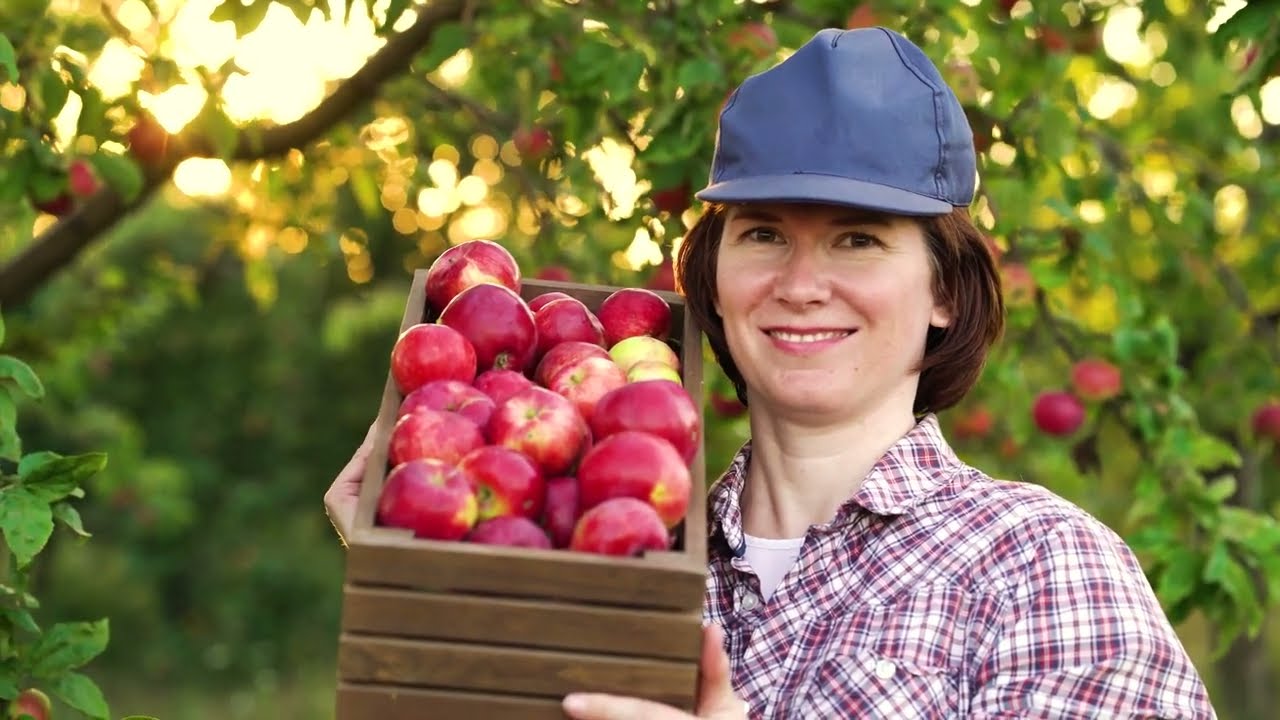 Introducing the American Farm Trail App