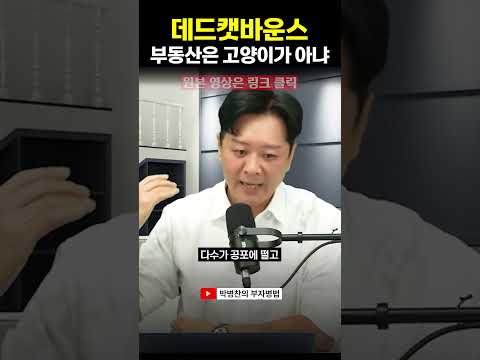 데드캣바운스. 부동산은 고양이가 아니야 (▲원본 영상 링크 클릭)