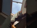 目が覚めたら…!!