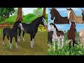 New Morgan Horses are Here in Star Stable Online