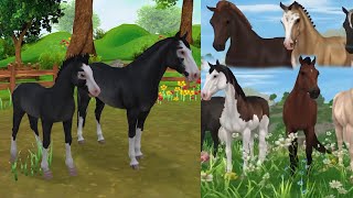 New Morgan Horses are Here in Star Stable Online