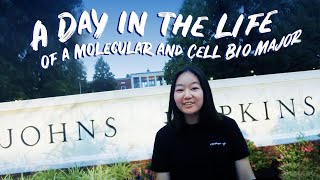 A Day in the Life of a Molecular and Cellular Biology Student at Johns Hopkins