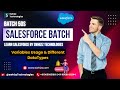 Batch 50S Salesforce Batch - Session 14 - Variables Usage & Different DataTypes | Cyber Security