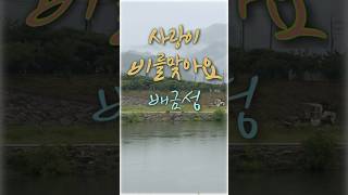 사랑이 비를맞아요💛배금성#지리산자락#소소한풍경#힐링#감성트로트#shorts