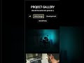 Portfolio section with html css and Javascript