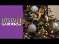 view The Science of Christmas Tree Cultivation digital asset number 1