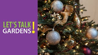 The Science of Christmas Tree Cultivation