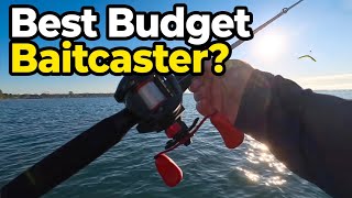 BEST Budget Baitcaster? Abu Garcia Black Max Combo Review