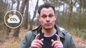 Promotievideo The Forest Project