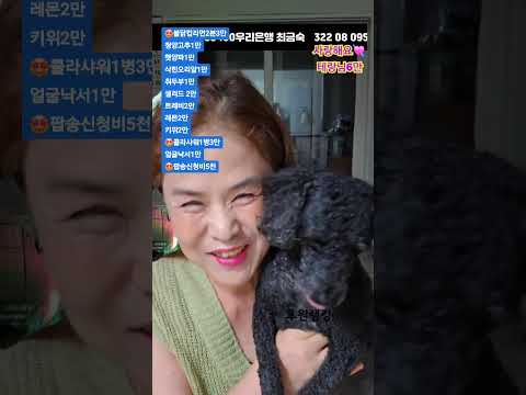 💞💕우리모무두 즐겨요❤️음악과 미션이 공존하는 최금숙tv🥰😍🤩