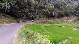 Sunmory Alone With CBR 250 RR