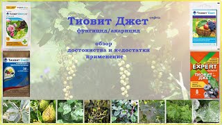 Тиовит Джет - обзор средства от болезней и клещей. Достоинства и недостатки