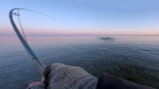 Dead Flat Surface and Picky Rising Sea Trout on the Coast