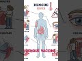 #qdenga #shortsfeed #facts #dengue #science #information #biology #insects#QDENGA