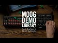 Moog Mavis | How to Use the LFO as a Second Oscillator
