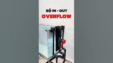 1 bộ overflow chất đến từng cm 😘 #thaihoaaquarium #overflow #thietbibeca #aquarium #thuysinh