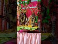 Radhakrishna swing festival radhakrishnajhulanyatra 2021radheradhe shorts gauranga jhulan