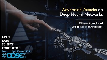 Adversarial Attacks On Deep Neural Networks