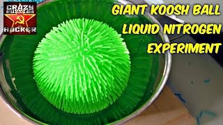 What Happens If you put Giant Koosh Ball into Liquid Nitrogen?