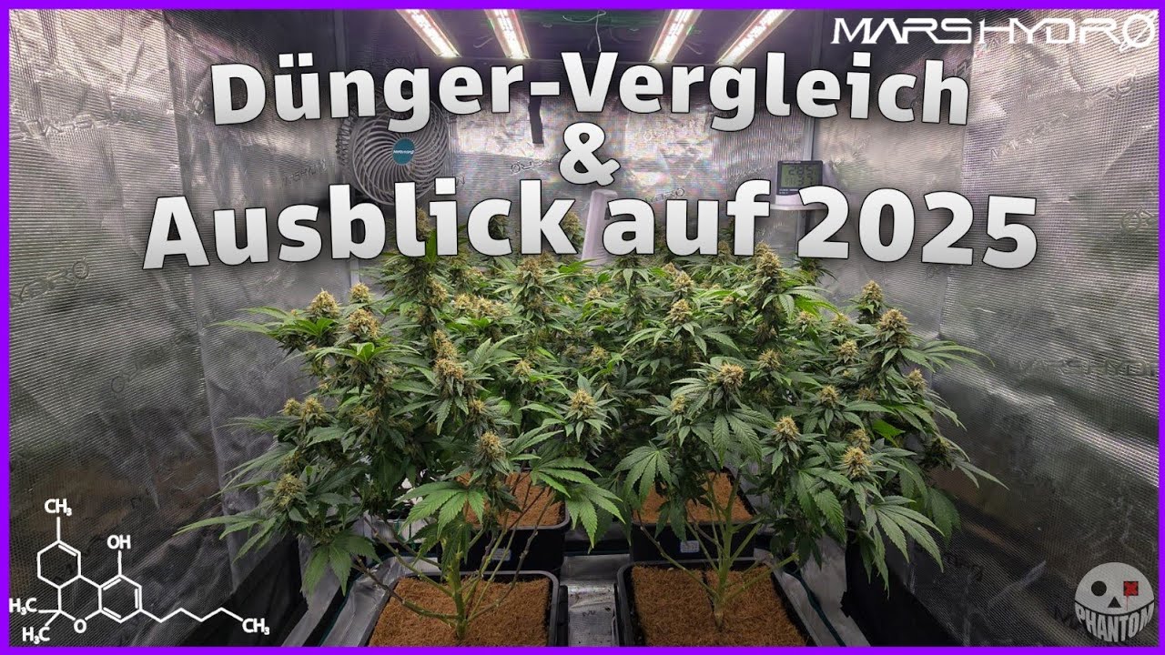 Fortschritt, Dünger-Vergleich & Ausblick auf 2025! | Mars Hydro FC 3000 EVO Komplett-Set | Teil 14