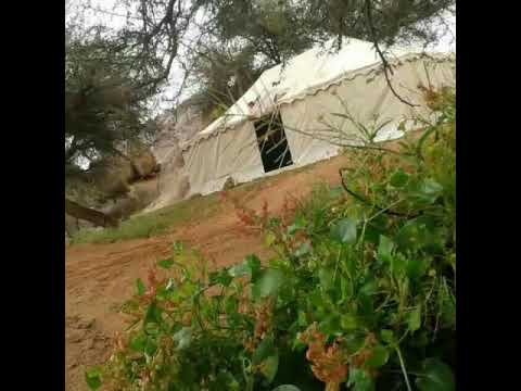 أبو عواد بني هميم سفينه مالها ربان