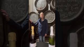 Bodegas Robles Wine | Humble Grape Wine Bar &amp; Restaurant | Women's Month