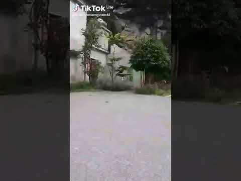 nhà hàng tràng an ninh bình Update New nhà hàng thung lũng xanh,tràng an ninh bình