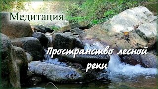 Обретение внутреннего спокойствия, мудрости и вдохновения Медитация Пространство лесной реки. 432 гц