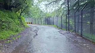 Rain Walk in Shimla Himachal Pradesh | Walking in the Rain, Nature Sounds for Sleep & Relaxation