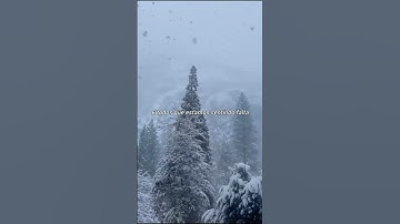 Thumbnail of Christmas Hits Different - TobyMac & Tasha Layton - tradução #traducaogospel