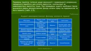 Аудит заробітної плати Аудит заробітної плати