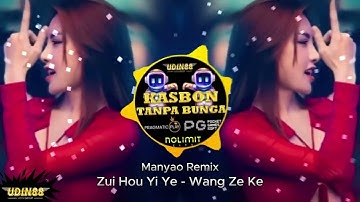 DJ MANYAO REMIX RUO YUE LIANG MEI LAI 若月亮没来