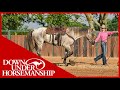 Method Ambassador Jennifer Jones - Downunder Horsemanship