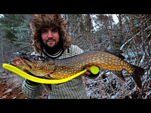 Video: Kuinka Valmistaa Sienellä Täytettyä Haukea